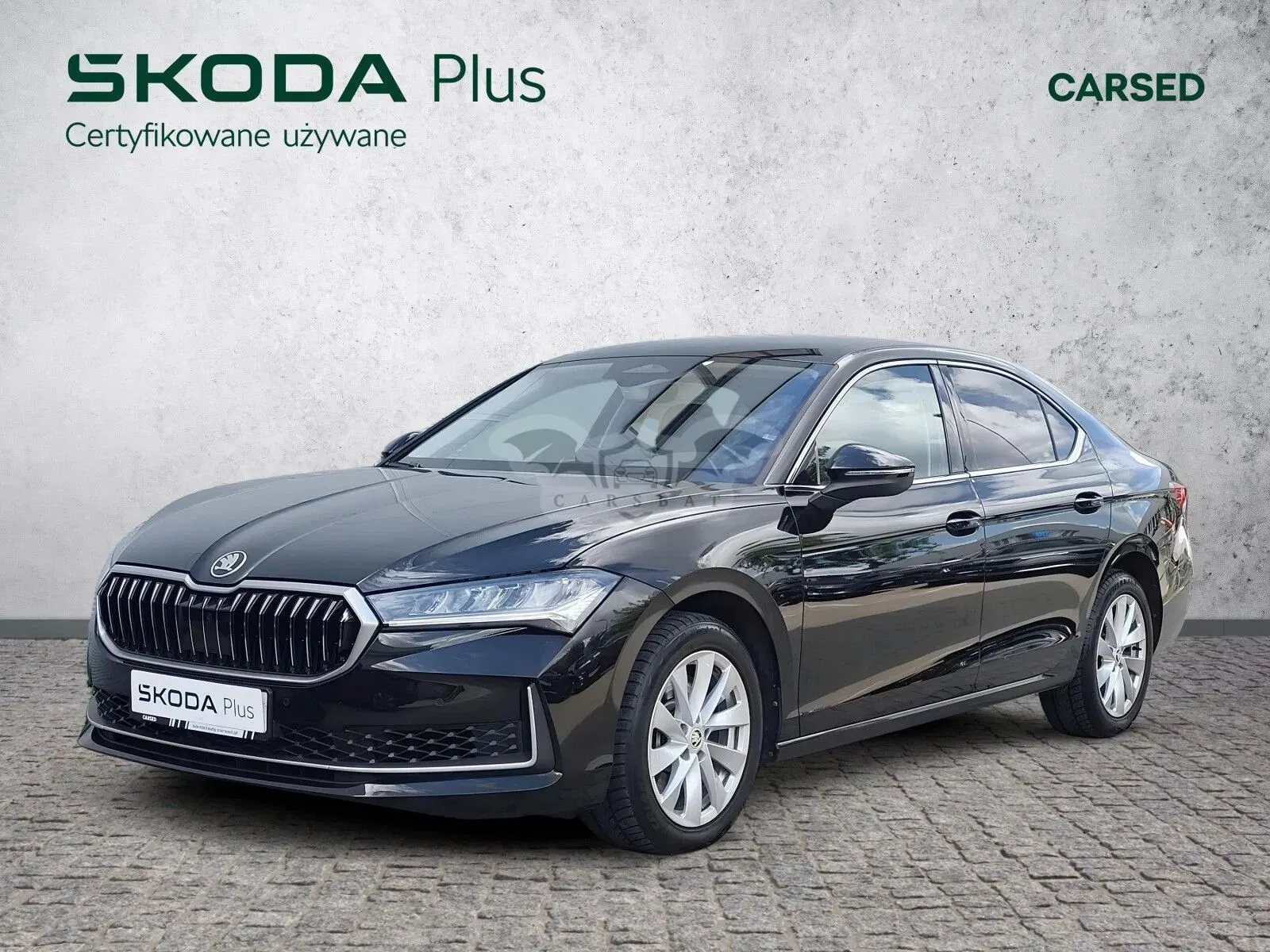 Skoda Superb VI (2023-) 2.0 TSI 4x4 Selection DSG 2024