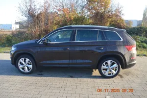 Skoda Kodiaq I (2016-2024) 2.0 TDI 4x4 Business DSG 2017