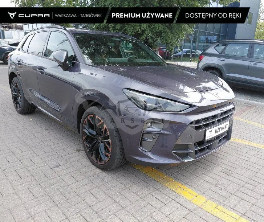 Cupra Terramar 2024