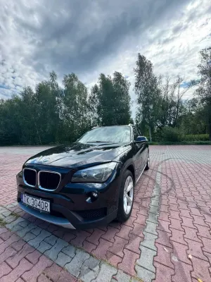 BMW X1 E84 (2009-2015) 2012