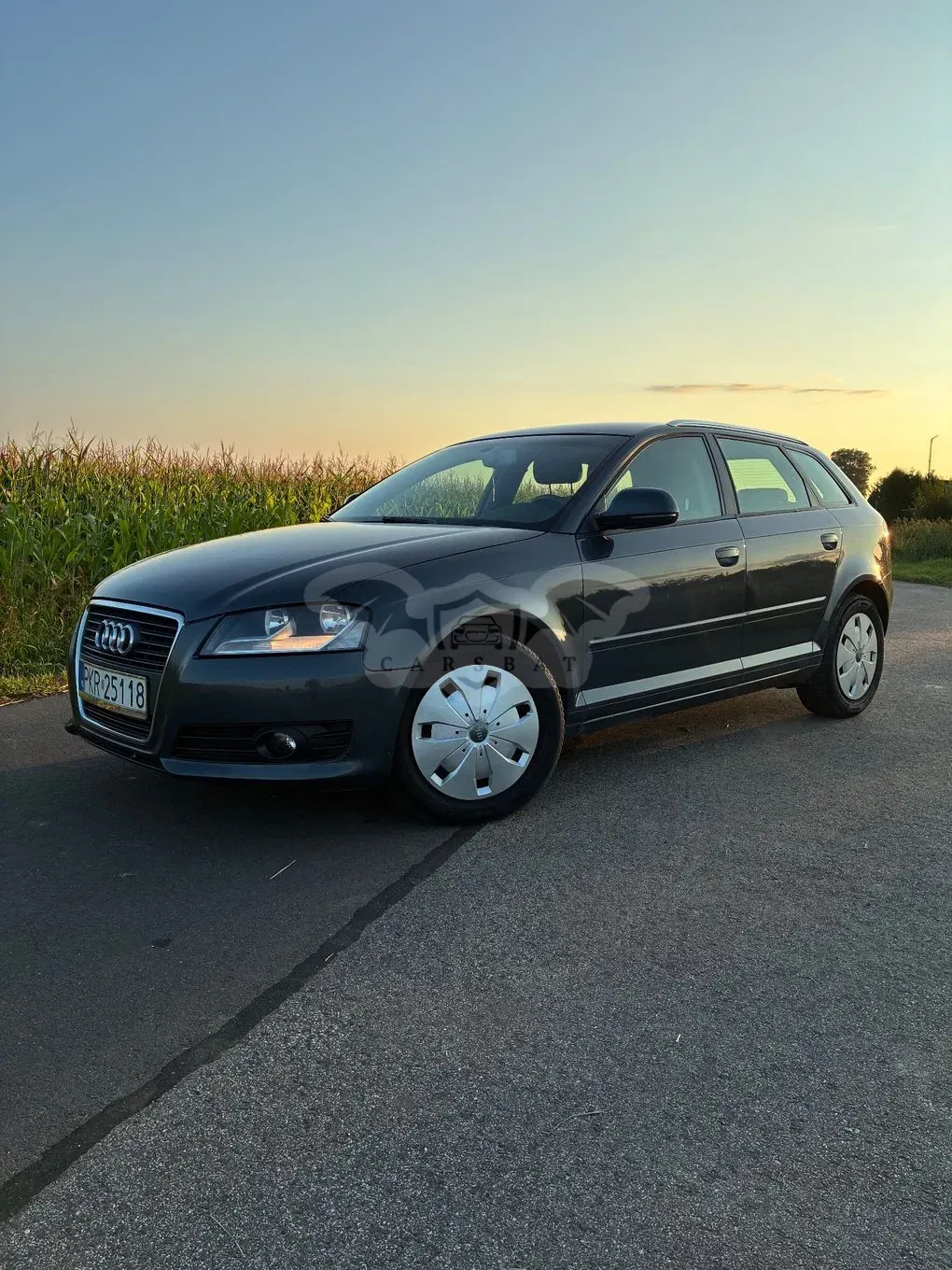 Audi A3 8P (2003-2012) 1.4 TFSI Ambiente 2009
