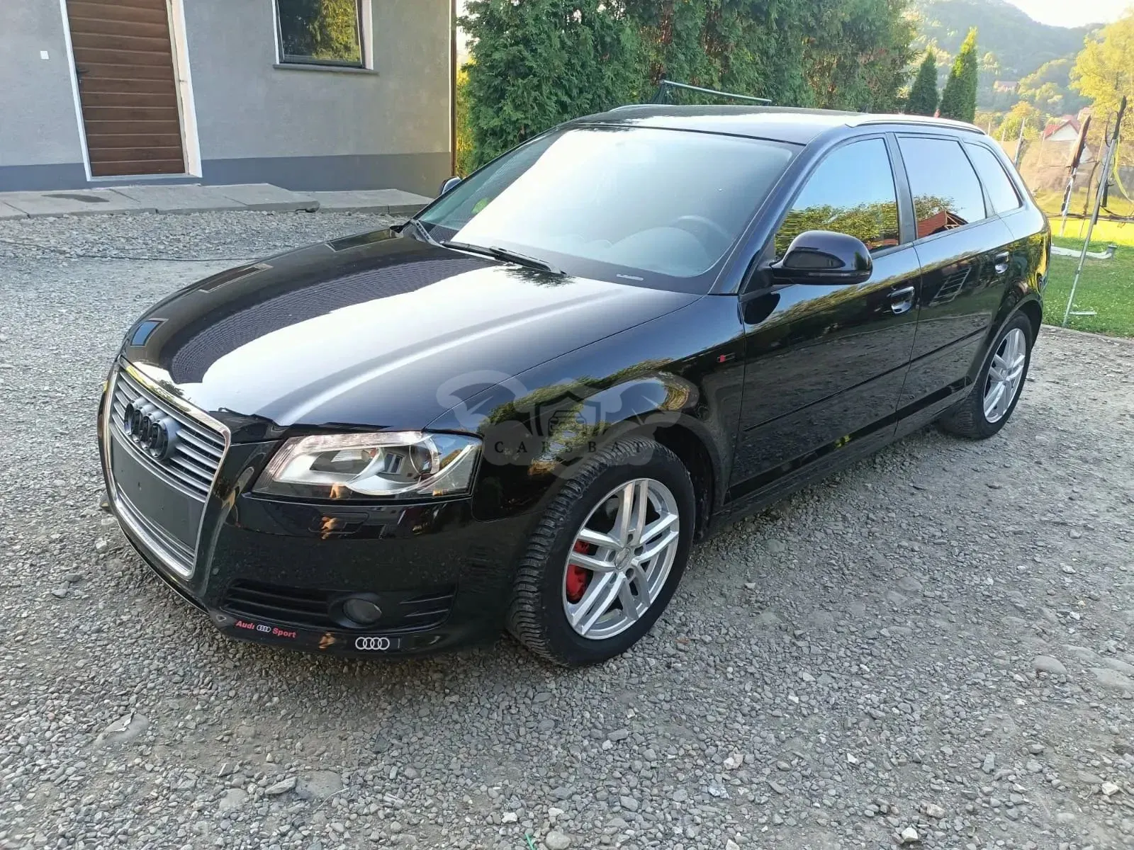 Audi A3 8P (2003-2012) 2010