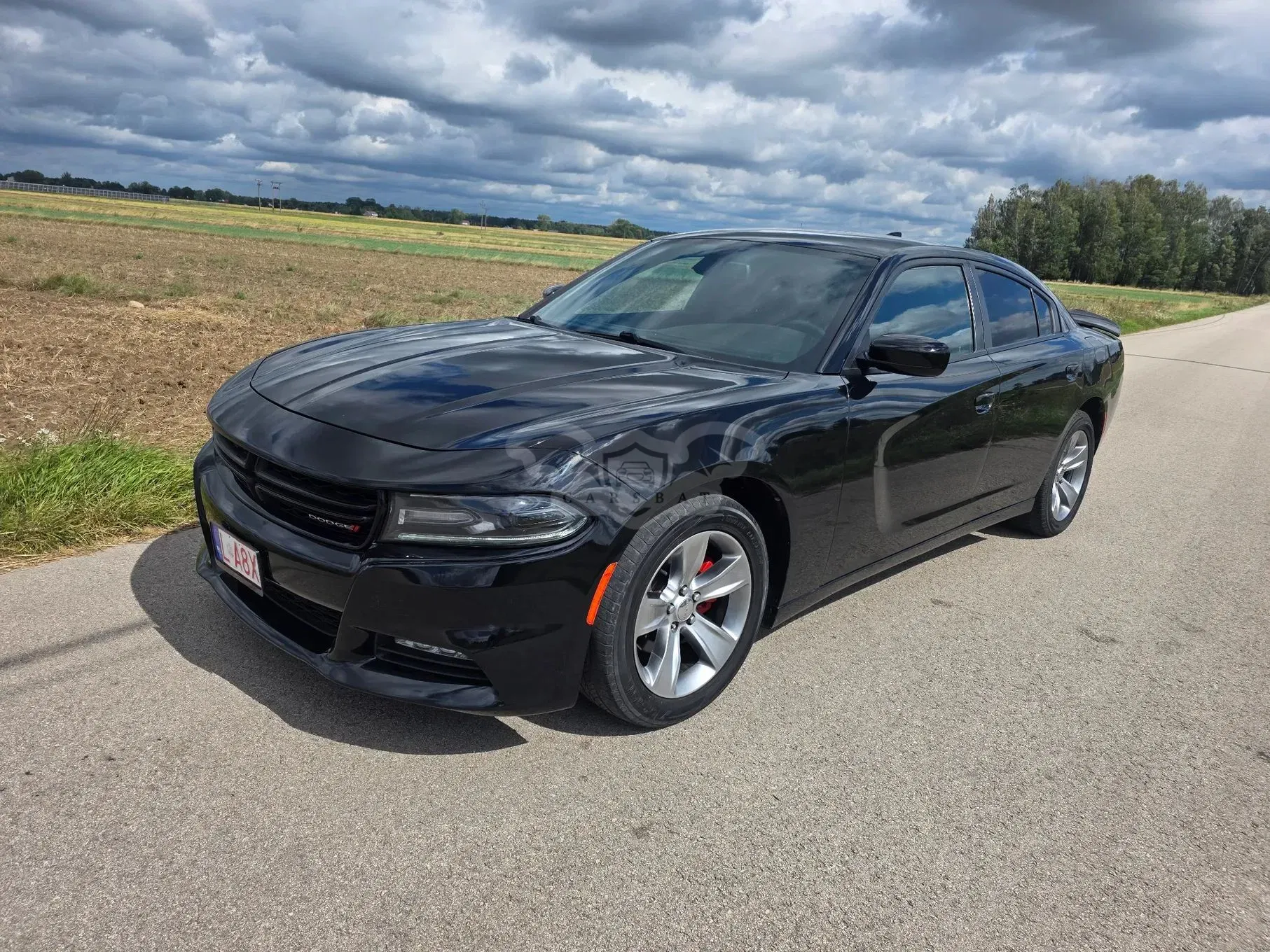 Dodge Charger Automatik Rally 2017