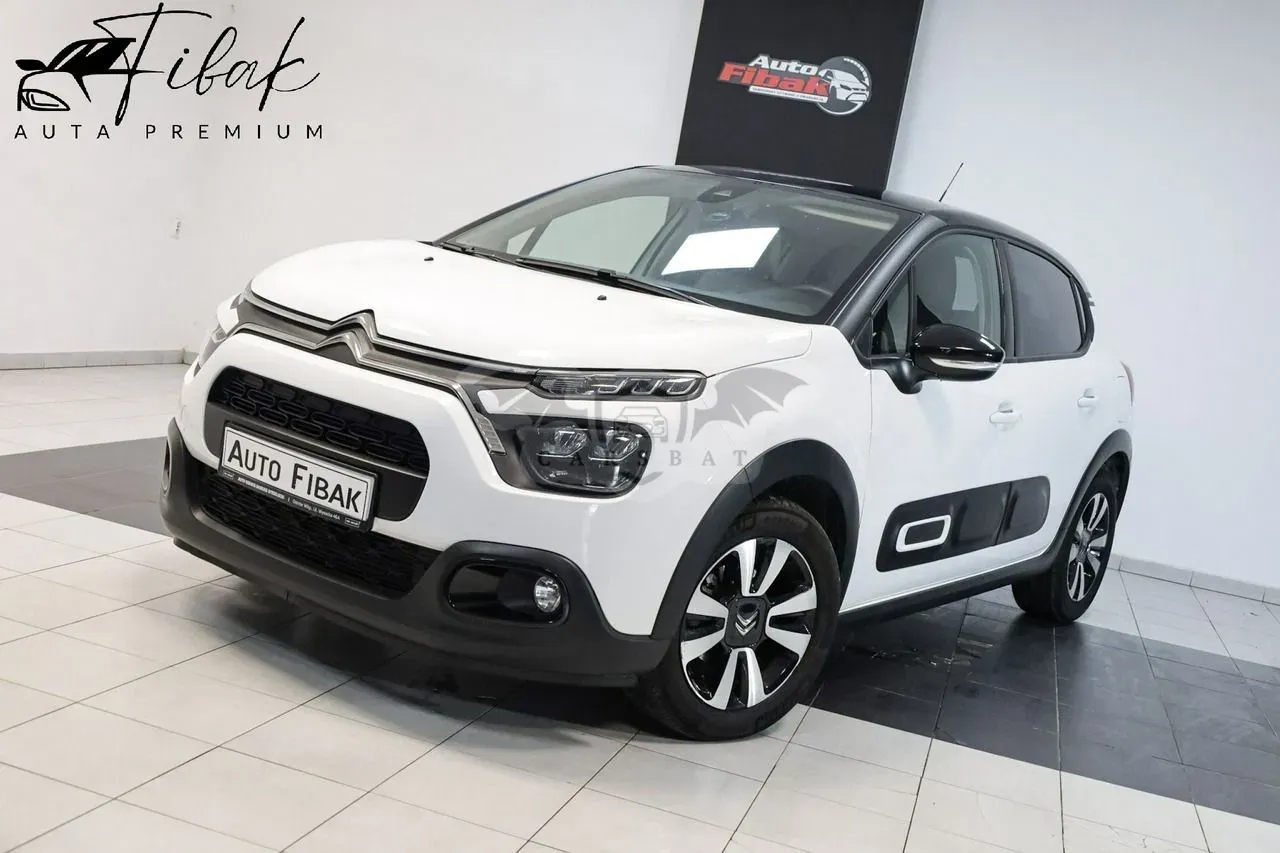 Citroën C3 III (2016-2024) 2024