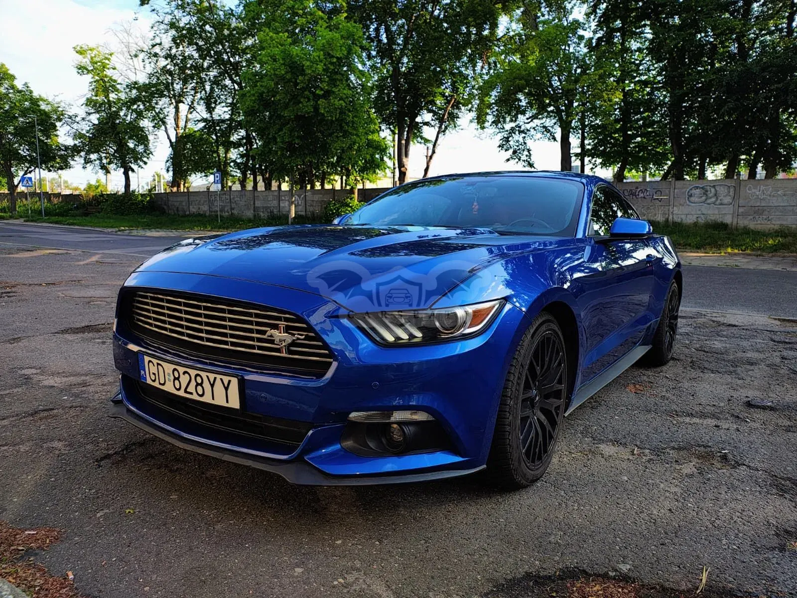 Ford Mustang 2.3 EcoBoost 2017