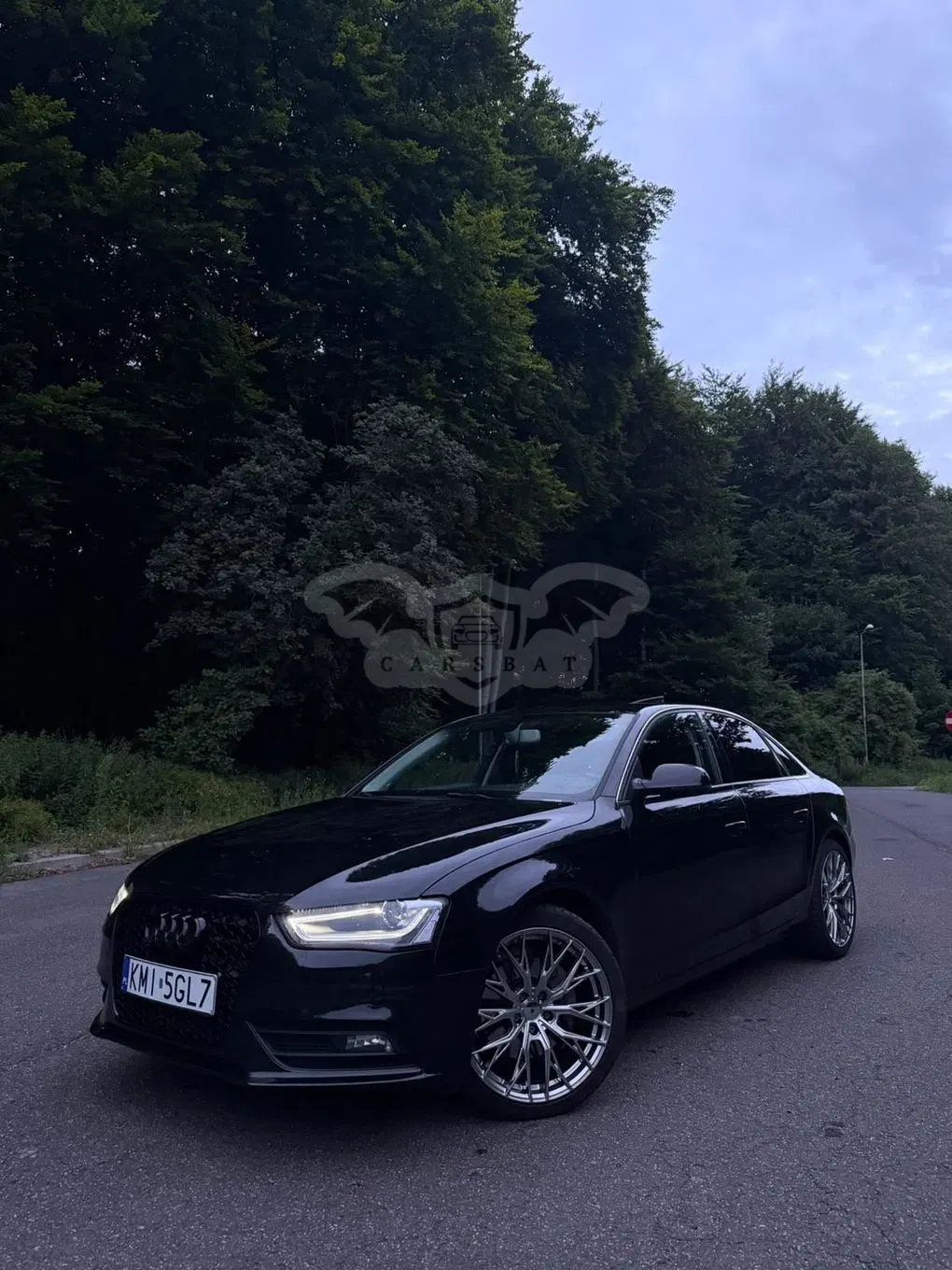 Audi A4 B8 (2007-2015) 2013