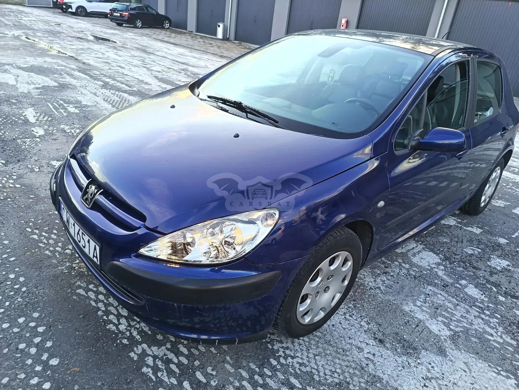 Peugeot 307 I (2001-2005) 1.6 Mistral 2003