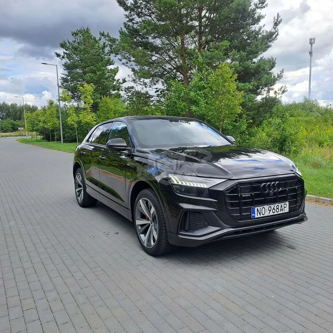 Audi Q8 TDI mHEV 170 kW Quattro Tiptronic 2023