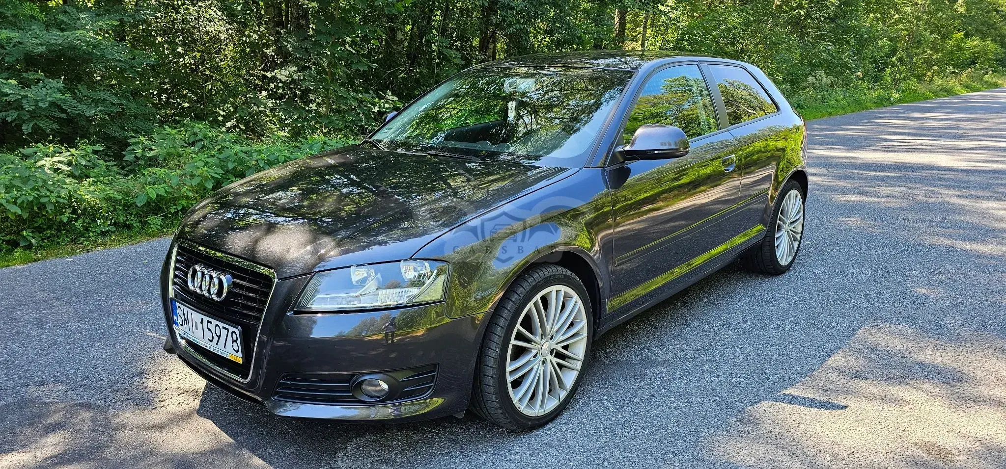 Audi A3 8P (2003-2012) 2008