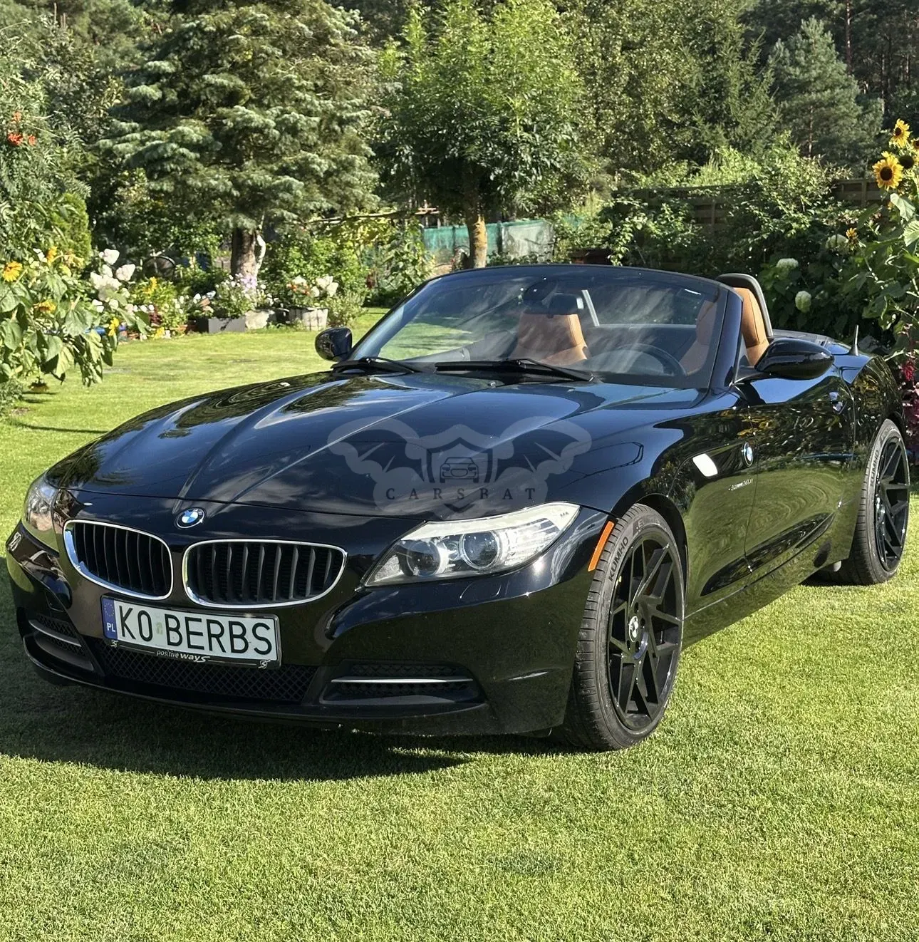BMW Z4 E89 (2009–2016) 2011