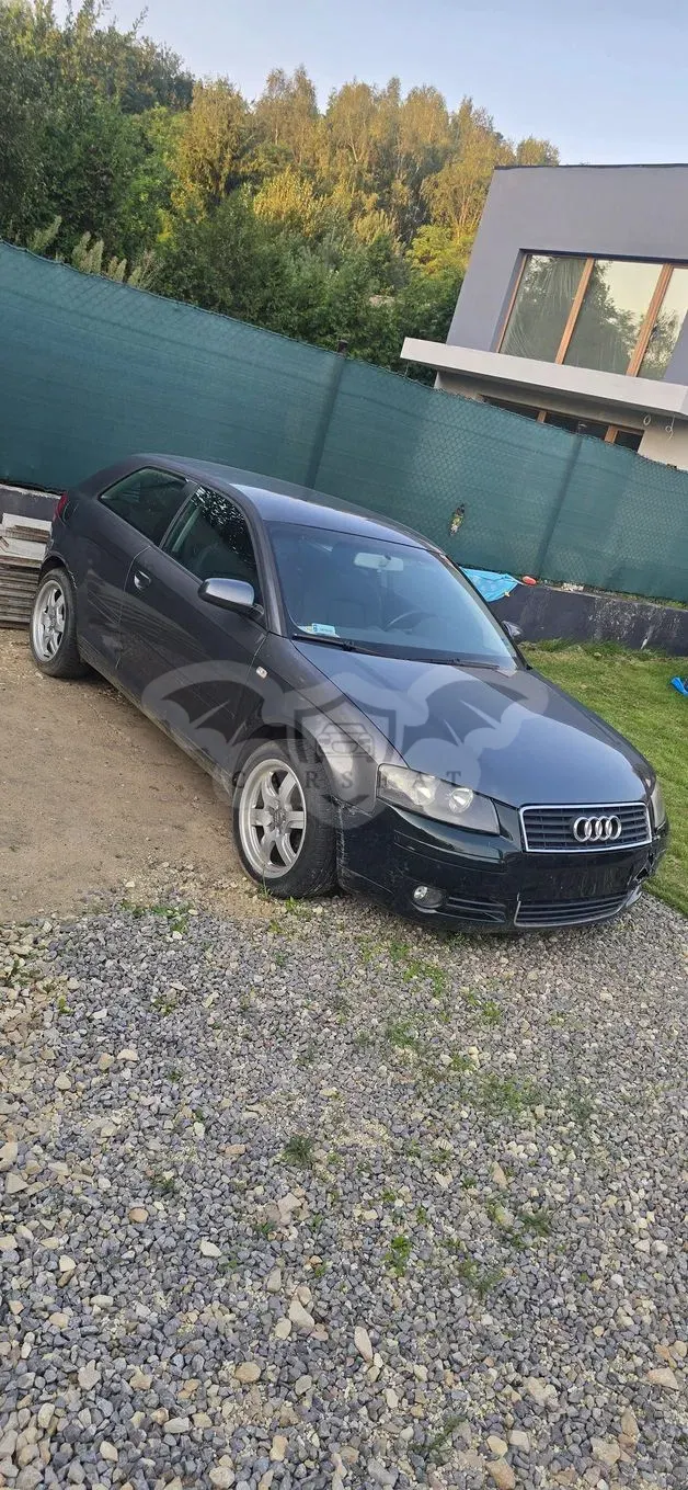 Audi A3 8P (2003-2012) 2004