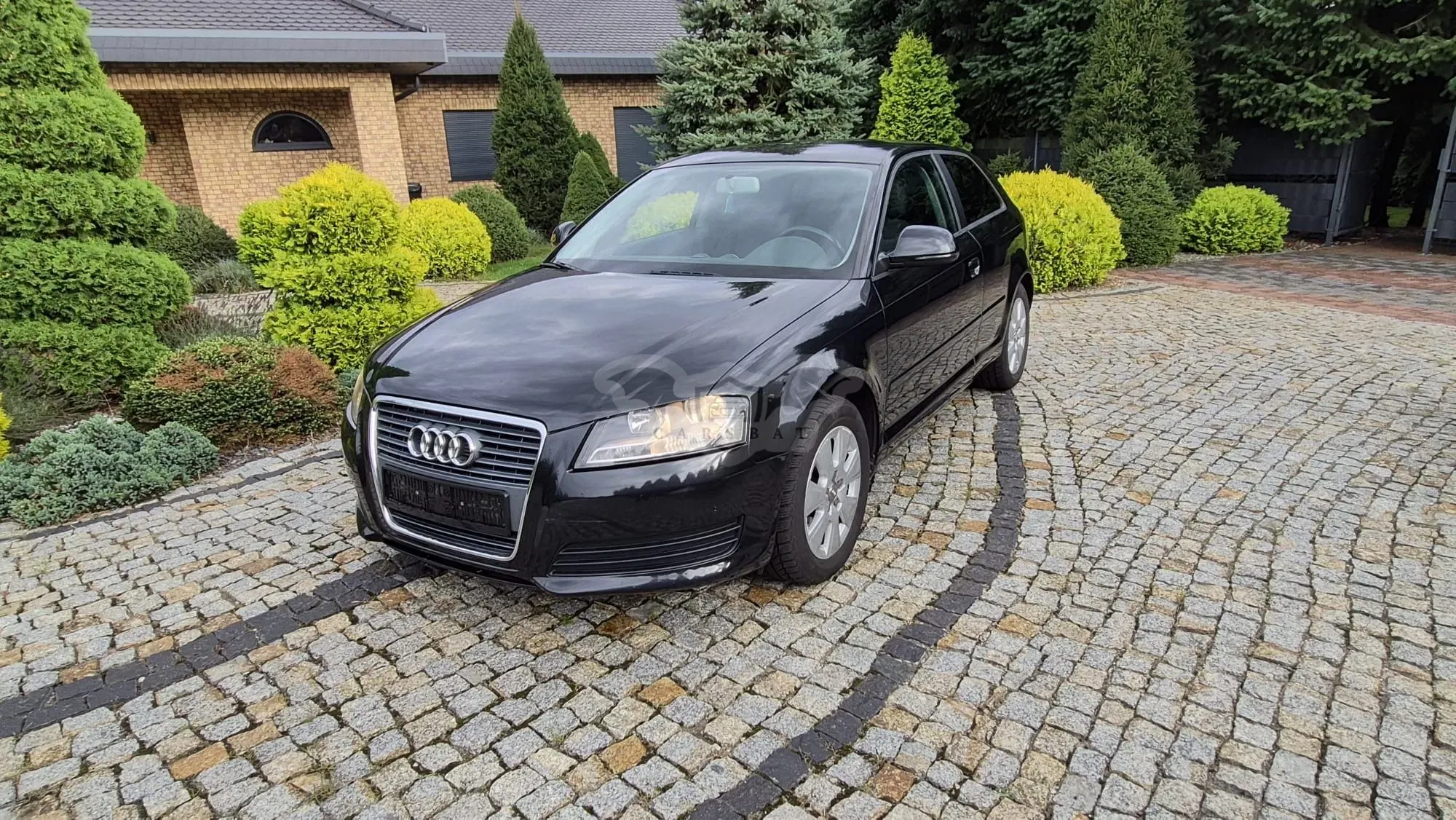 Audi A3 8P (2003-2012) 1.6 Attraction 2009