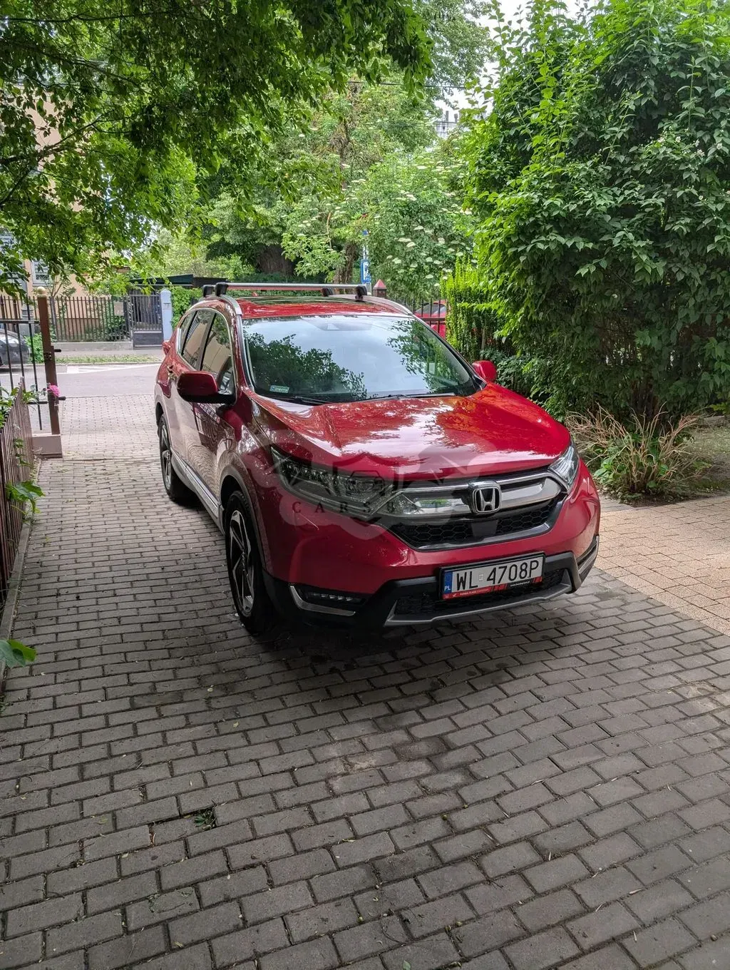Honda CR-V V (2018-2023) 1.5 Executive (Honda Connect+) 2019
