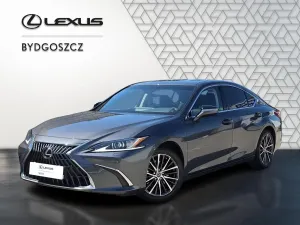 Lexus ES 300h Business Edition 2023