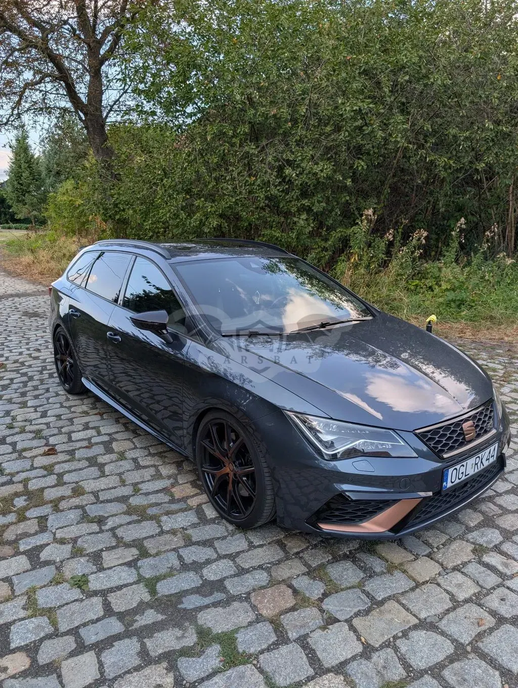 Seat Leon III (2012-) 2.0 TSI Cupra Performance Black S&S DSG 2019
