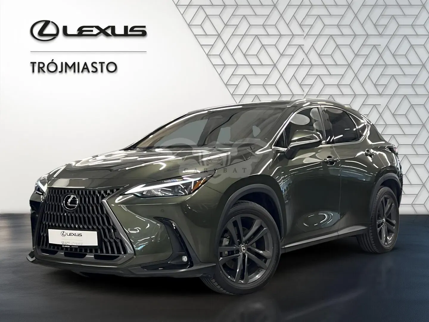 Lexus NX II (2021-) 2025