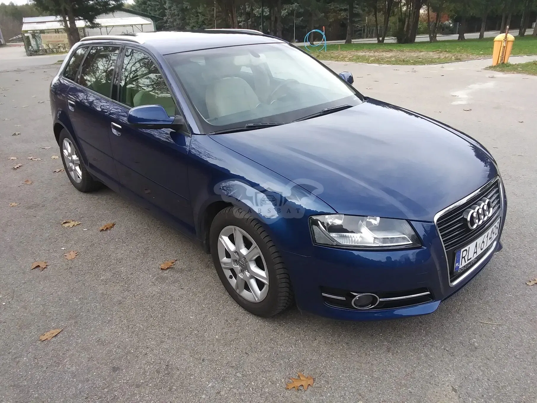 Audi A3 8P (2003-2012) 2.0 TDI DPF Ambiente 2010