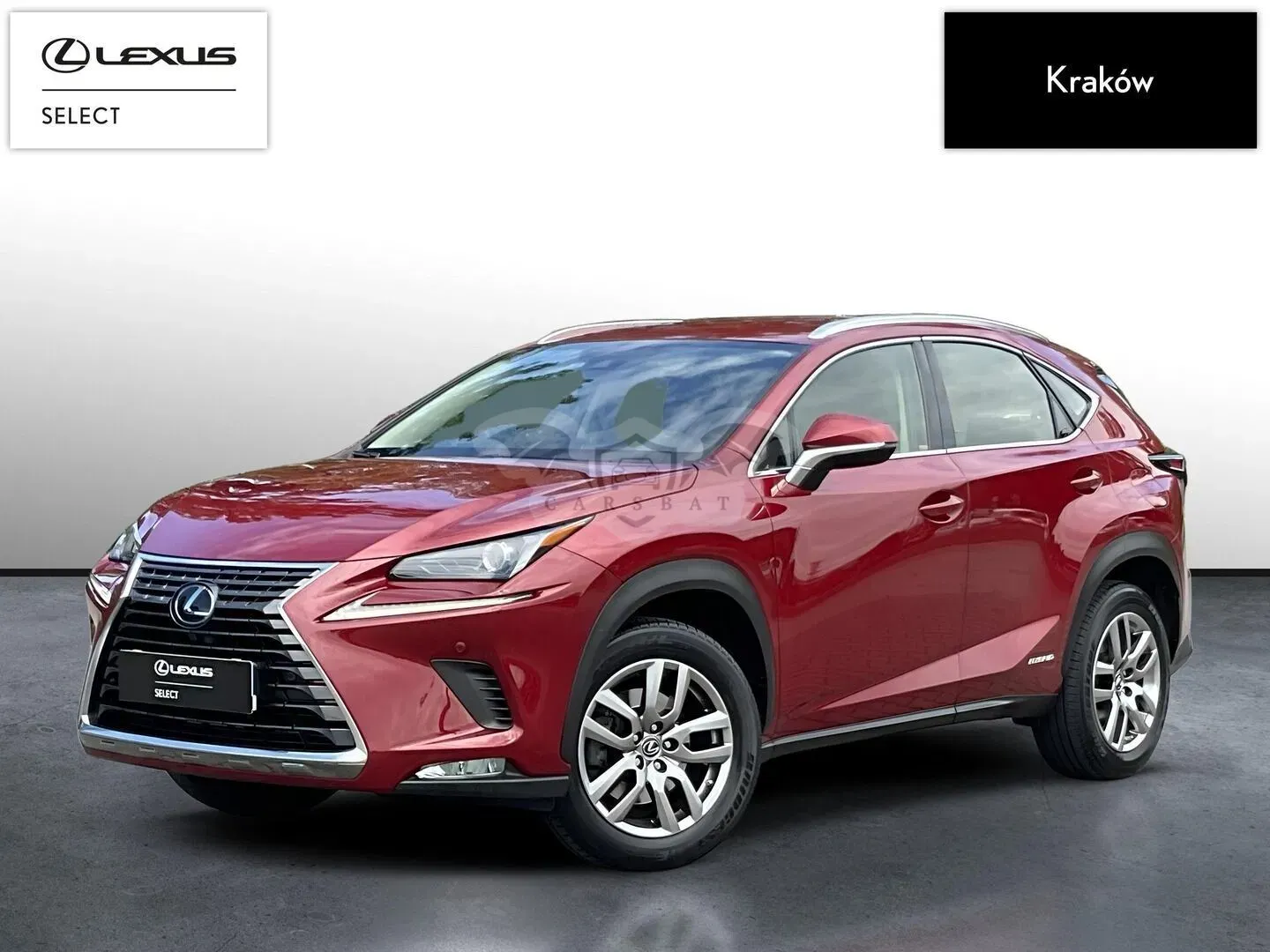 Lexus NX I (2014-2021) 300h Business Edition AWD 2019