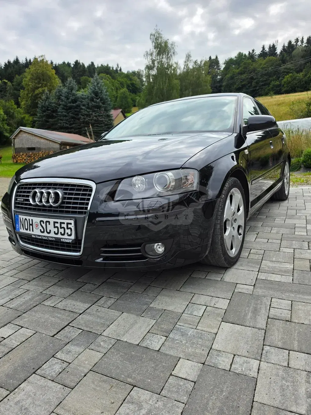 Audi A3 8P (2003-2012) 2.0 TDI DPF quattro Ambition 2007