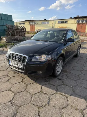 Audi A3 8P (2003-2012) 2007