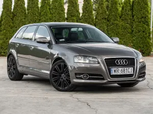 Audi A3 8P (2003-2012) 1.6 TDI DPF Ambition 2007