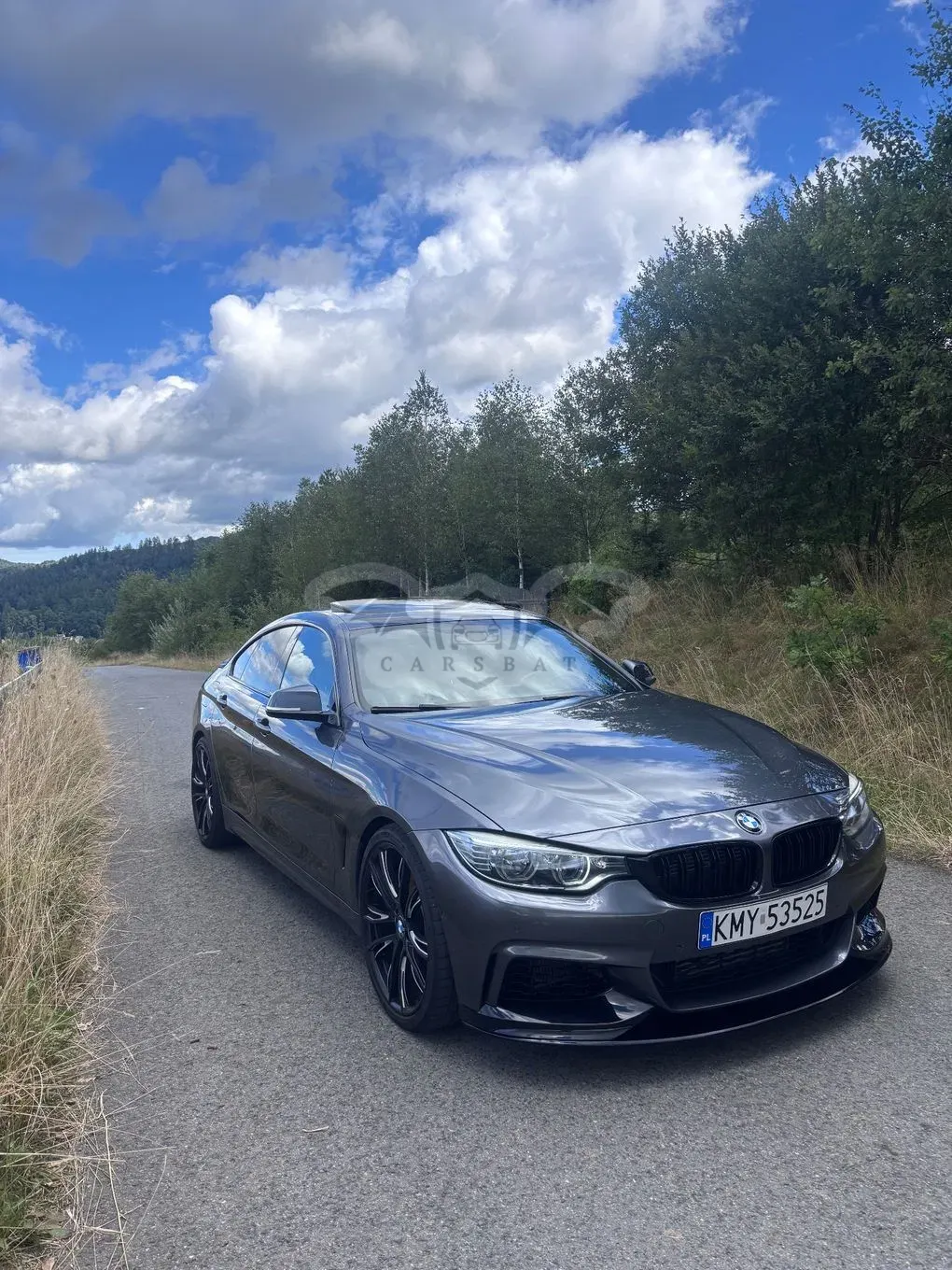 BMW 4 Series I F32/F33/F82 (2013-2020) 435i xDrive M Sport 2015