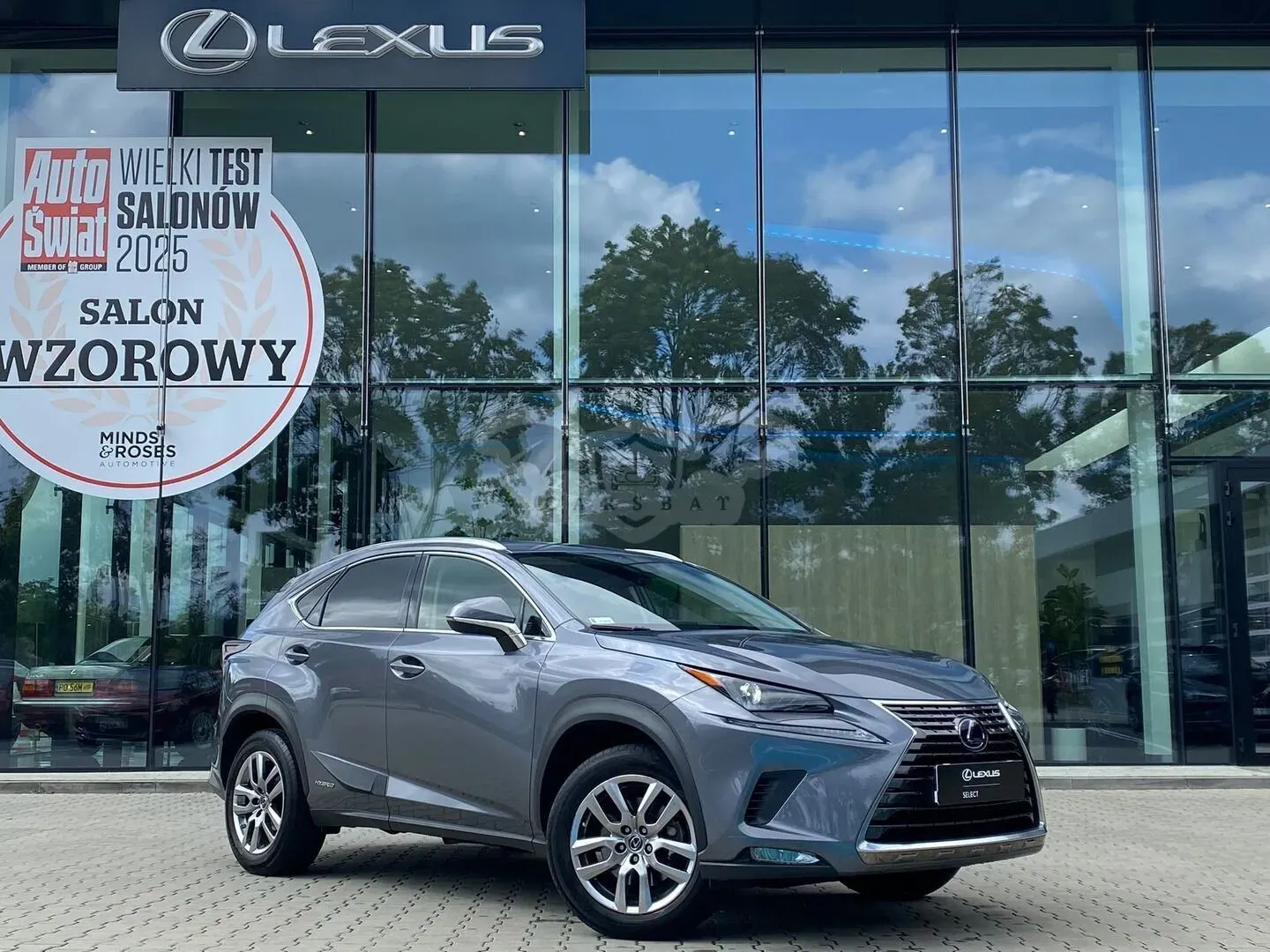 Lexus NX I (2014-2021) 300h Business Edition AWD 2019