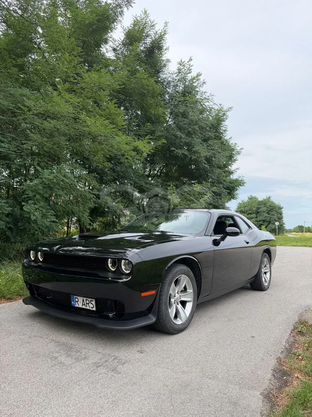 Dodge Challenger 3.6 SXT 2022