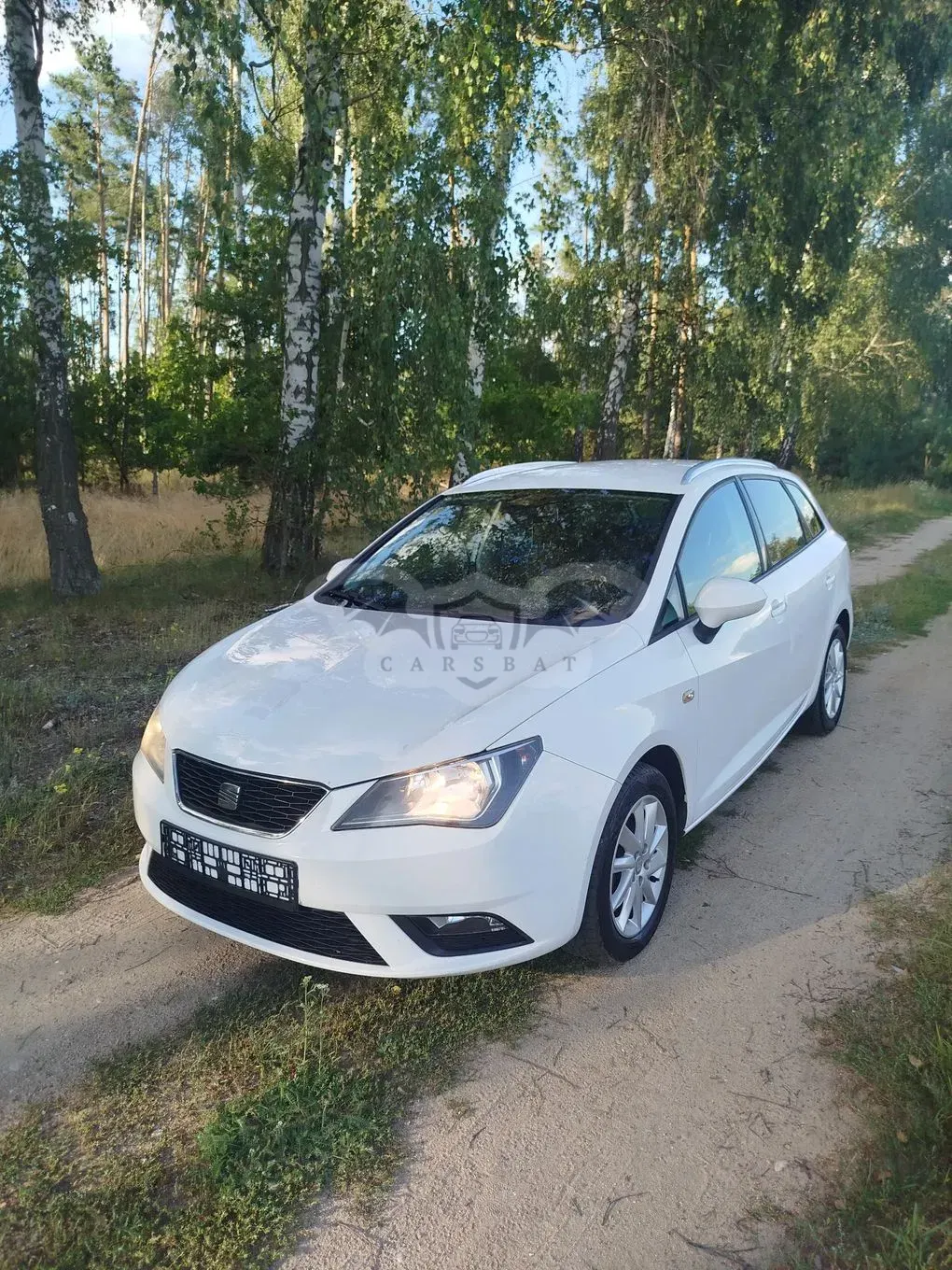 Seat Ibiza IV (2008-2017) 1.6 TDI CR Copa 2013