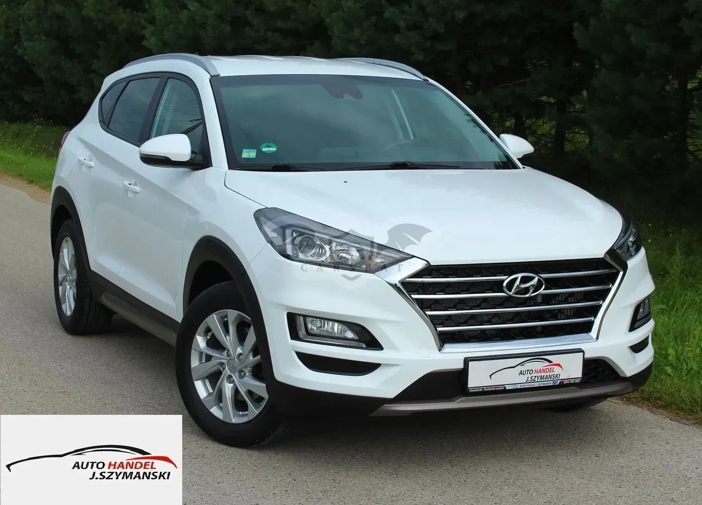 Hyundai Tucson III (2015-2020) 1.6 GDi 2WD DCT Premium 2019