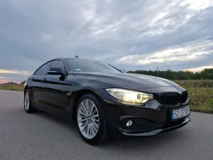 BMW 4 Series I F32/F33/F82 (2013-2020) 420d Luxury Line 2014
