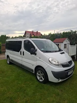 Opel Vivaro I (2001-2014) L2H1 2.9t Edition 2013