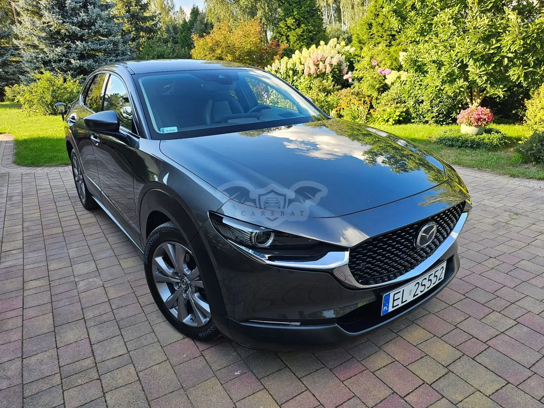 Mazda CX-30 2.0 mHEV Enso 2WD 2019