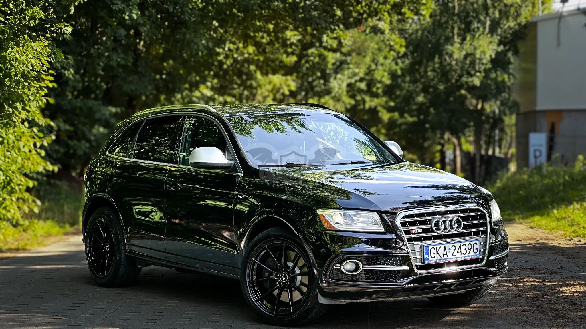 Audi SQ5 2014