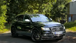 Audi SQ5 2014