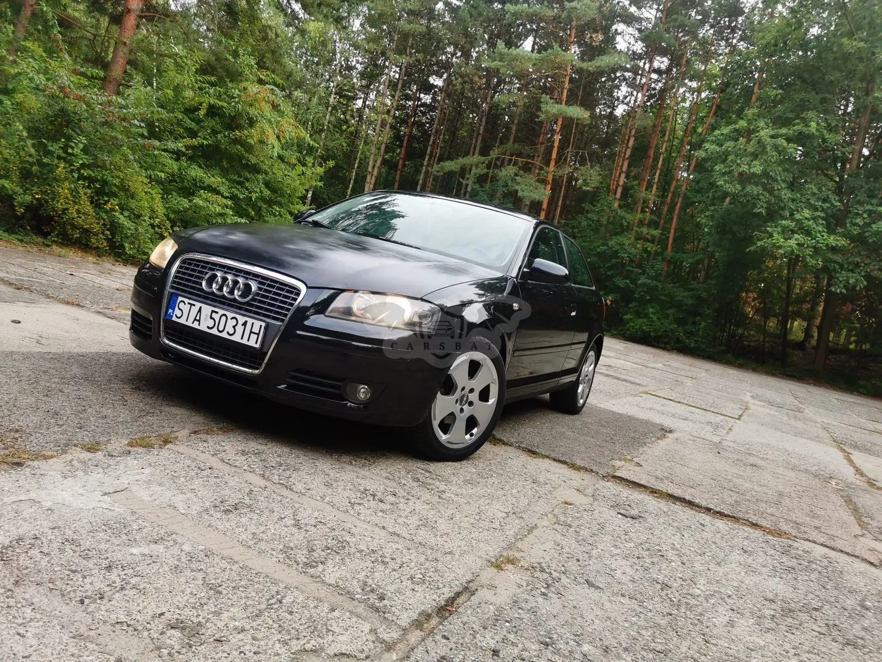 Audi A3 8P (2003-2012) 2008