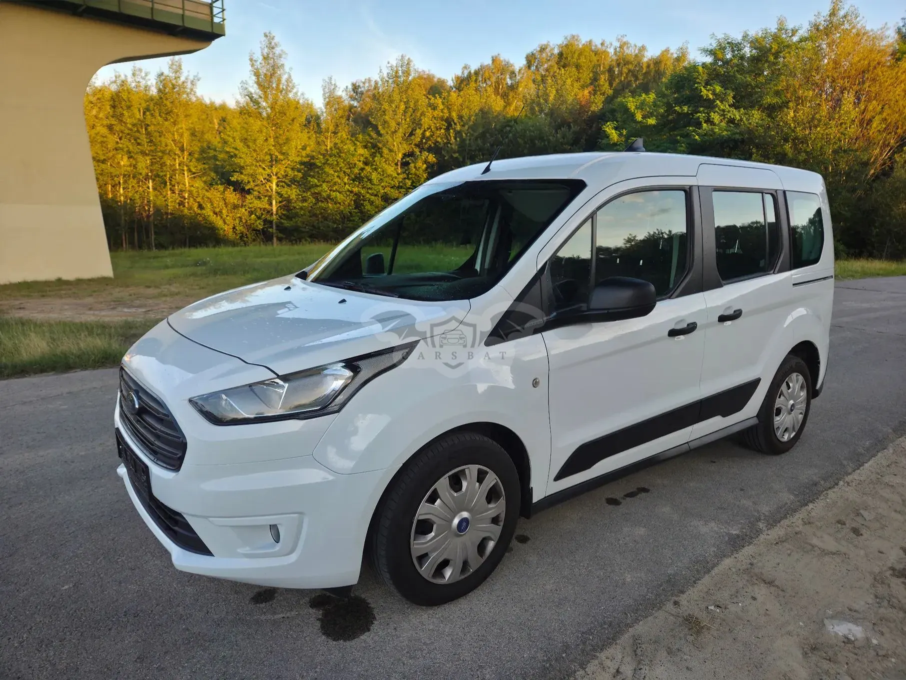Ford Transit Connect II (2013-) 2020