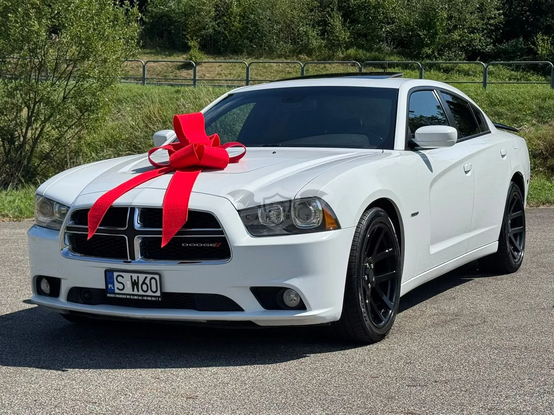 Dodge Charger 2014