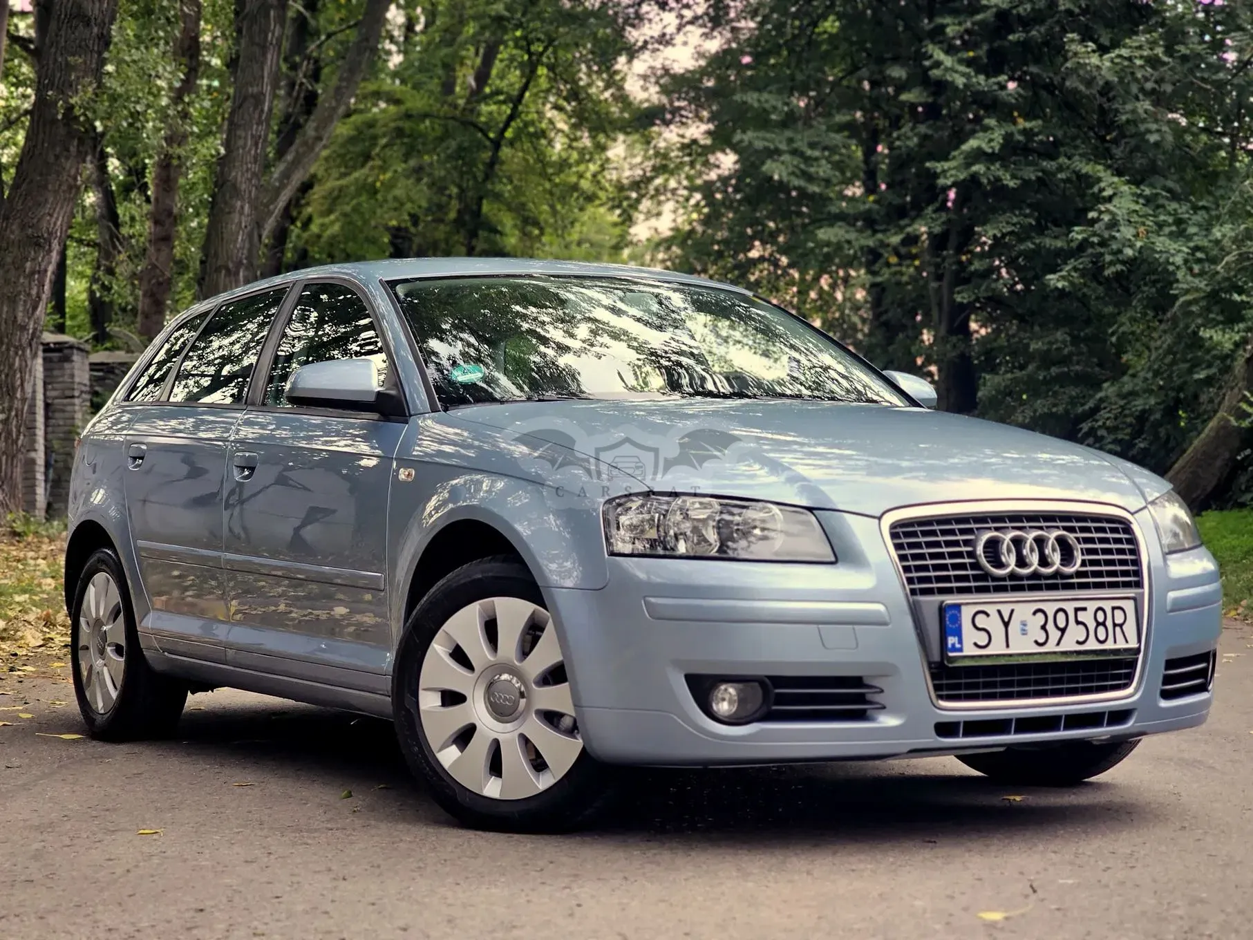 Audi A3 8P (2003-2012) 1.6 Ambiente 2005