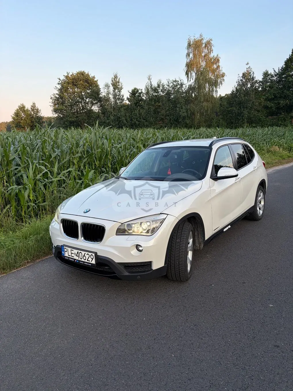 BMW X1 E84 (2009-2015) xDrive18d 2012