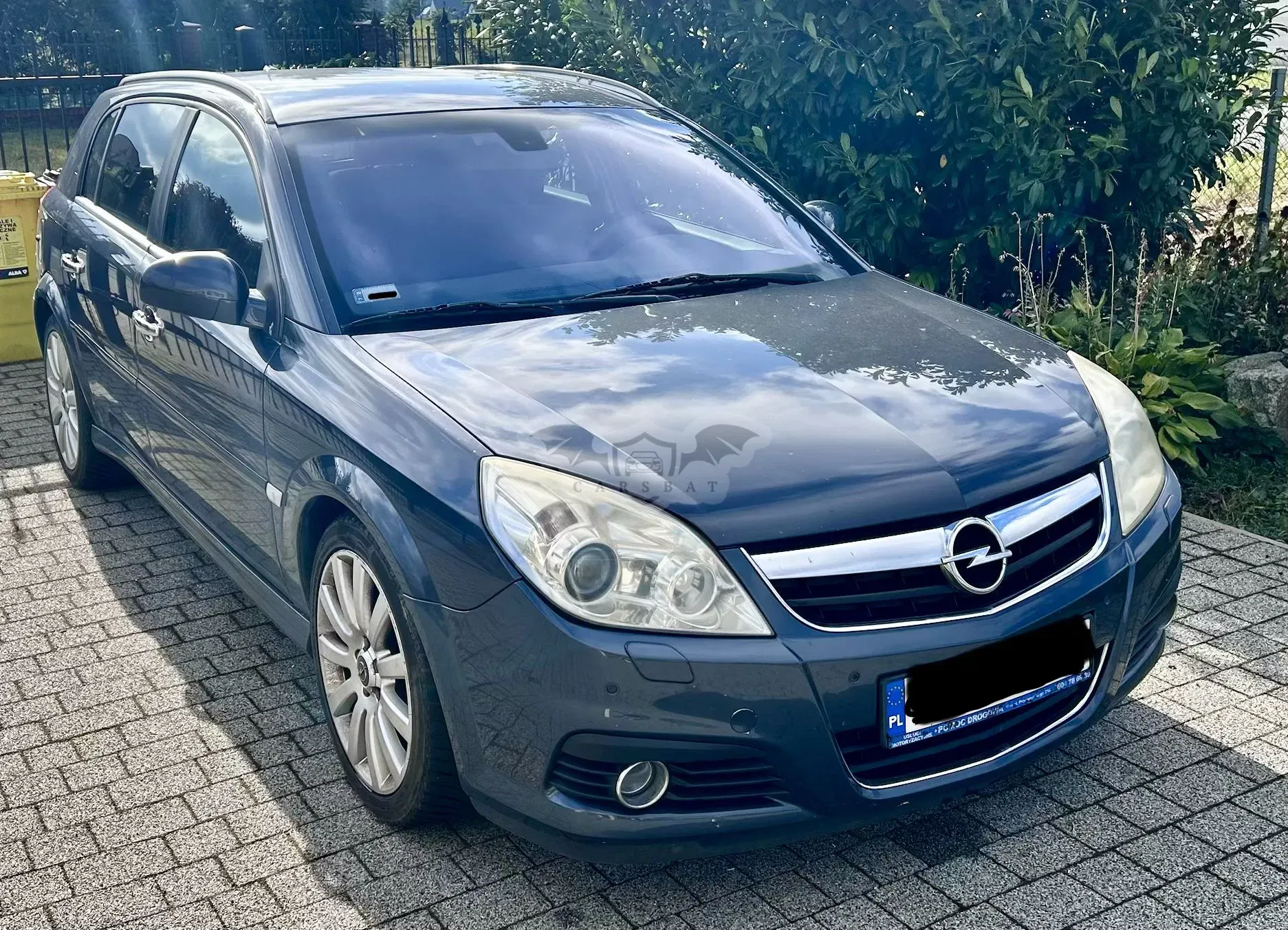 Opel Signum 1.9 CDTI Elegance 2006