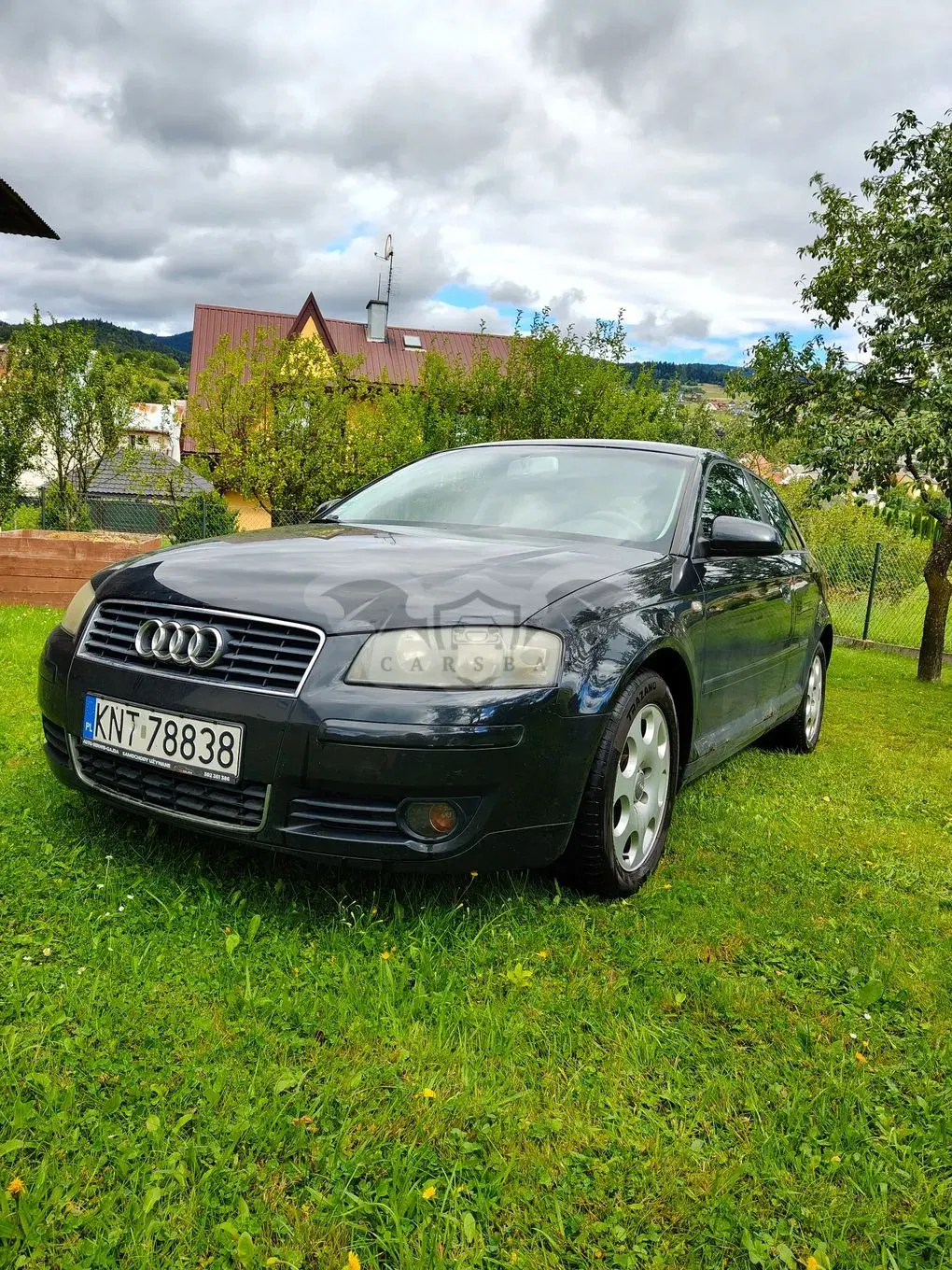 Audi A3 8P (2003-2012) 2003
