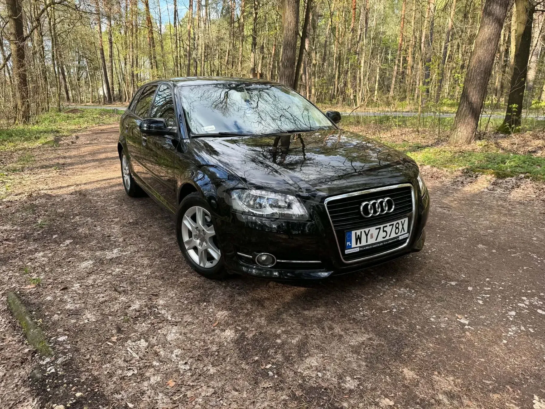 Audi A3 8P (2003-2012) 1.6 TDI DPF Ambition 2011