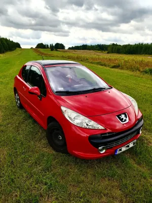 Peugeot 207 1.4 16V U Move 2007