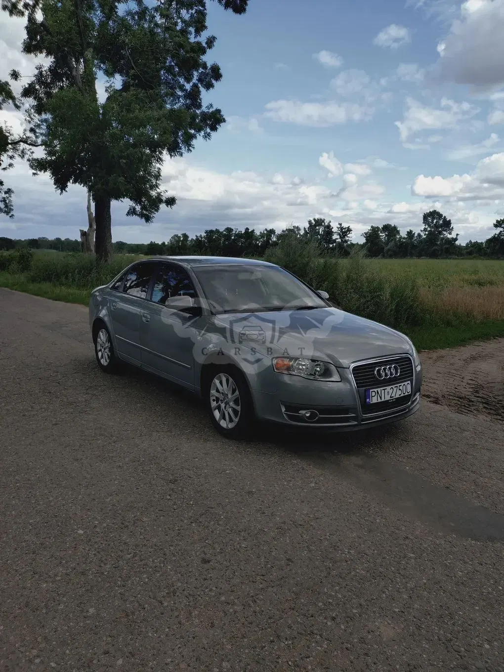 Audi A4 B7 (2004-2007) 2007