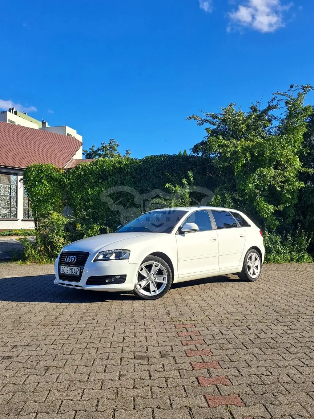 Audi A3 8P (2003-2012) 1.6 TDI DPF Ambition 2009