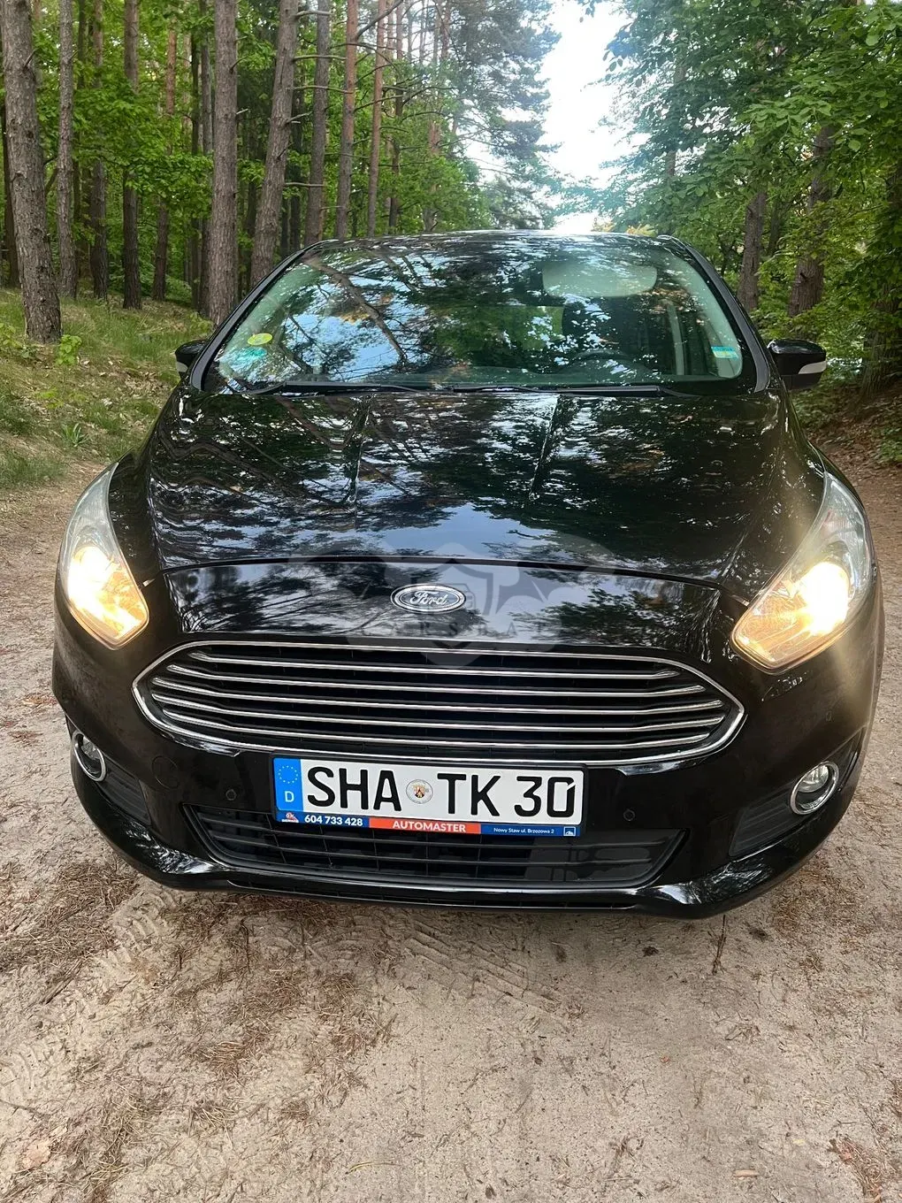 Ford S-Max II (2015-) 2.0 EcoBlue Titanium 2017