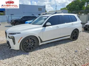 BMW X7 G07 (2019-) 2023