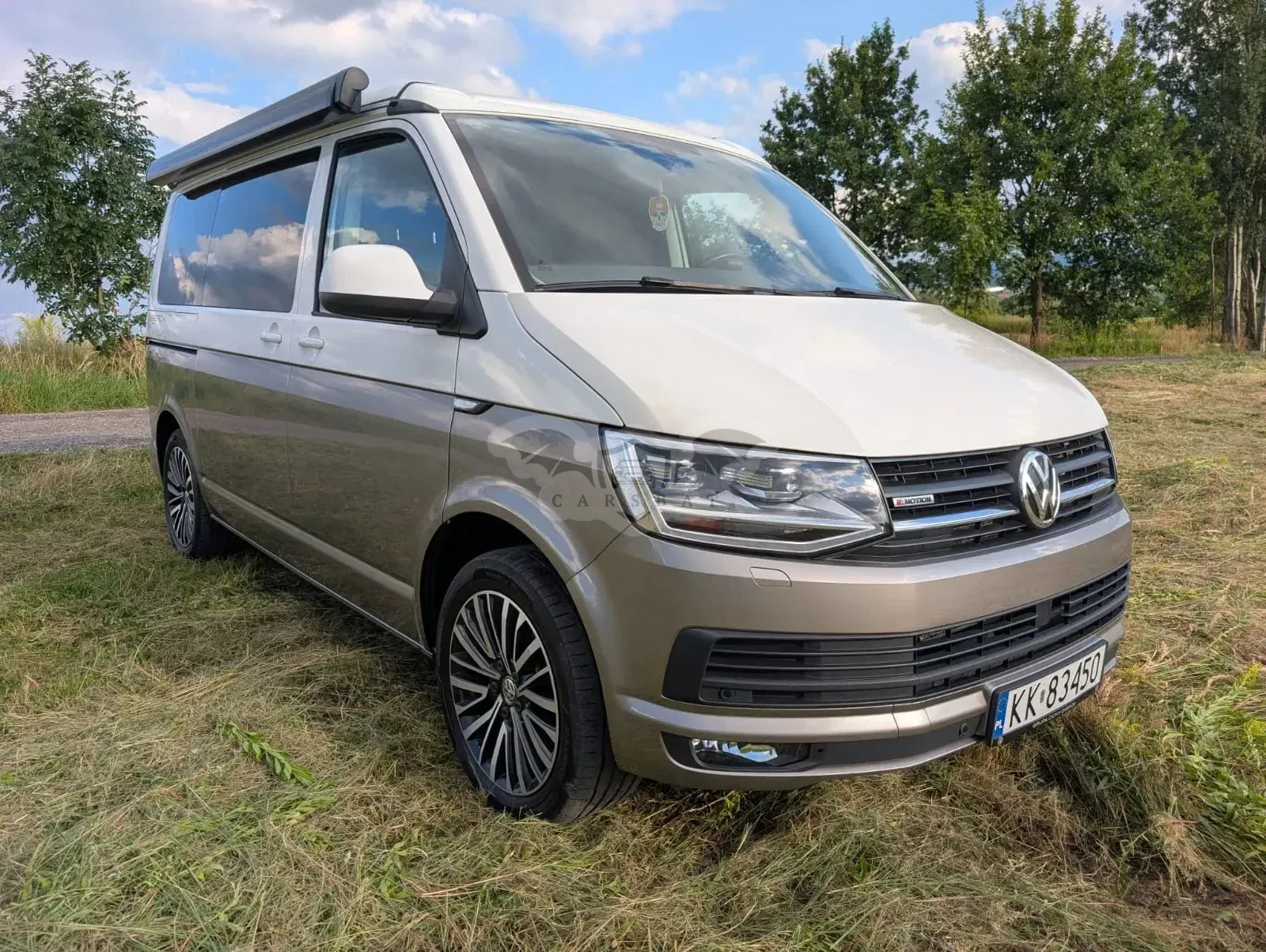 Volkswagen California 2019