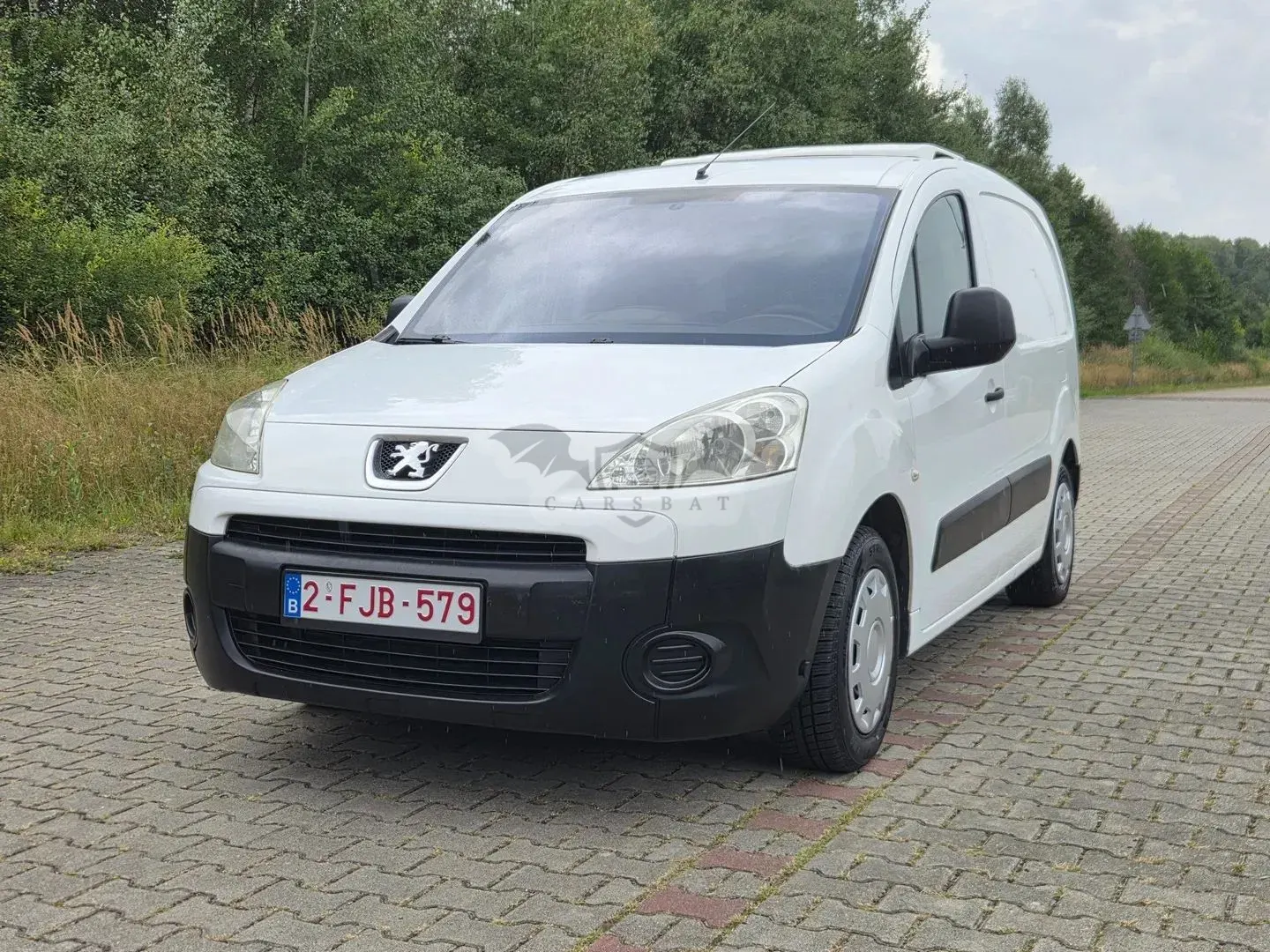 Peugeot Partner 2010